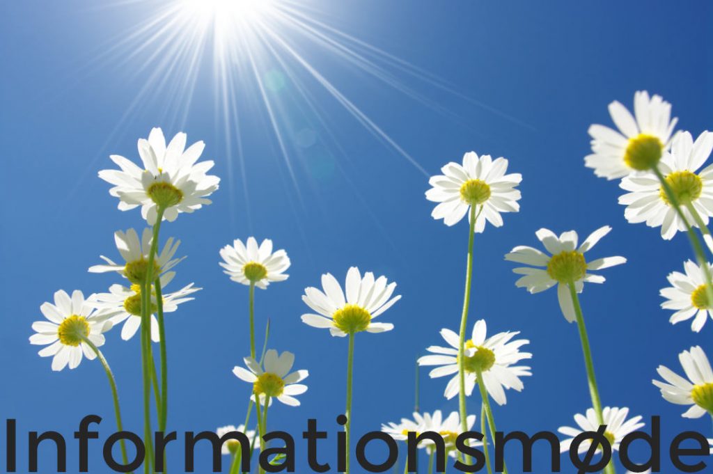 informationsmøde blomster