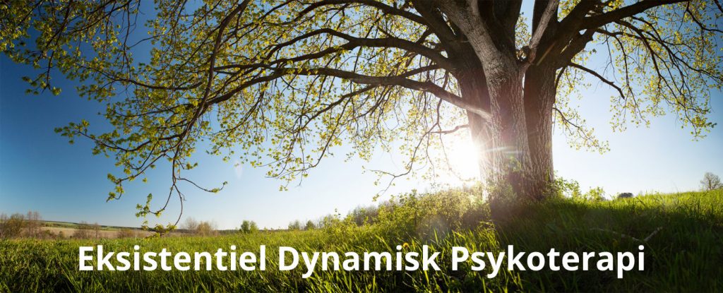 Træ som symbol for psykoterapeutuddannelsen eksistentiel psykoterapeut